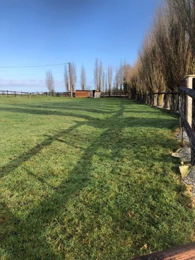 Domaine "Les Bois Flottes" Dans Maison De Charme Au Bord De Mer Et Proche De Cabourg Merville-Franceville-Plage Exterior foto